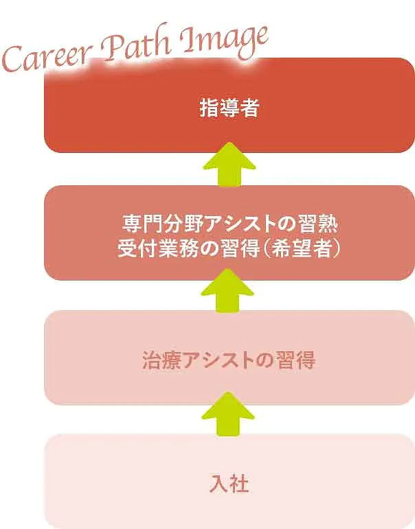 受付・歯科アシスタントのキャリアイメージ